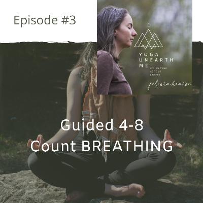 Guided 4-8 Count Breathing