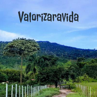 Na Dúvida Faça Assim Mesmo