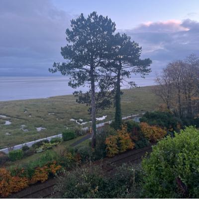 Relax- Dawn Chorus Grange over Sands November 2023 rain, trains, clock chimes, blackbird calls Relax- Dawn Chorus Grange over Sands November 2023 rain, trains, clock chimes, blackbird calls