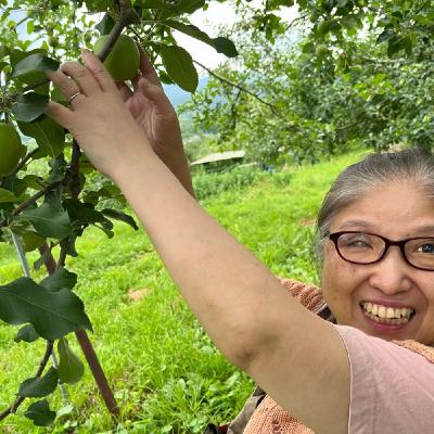 りんごの話など