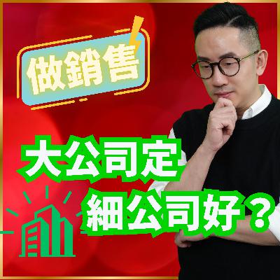 銷售︱做銷售 大公司定細公司好？︱粵語