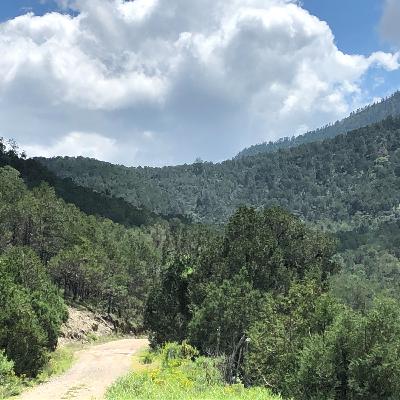 Alineación #Meditación #IniciodelDía #Decretos