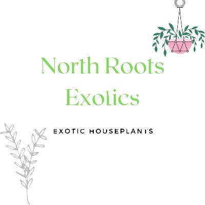 North Roots reintroduction North Roots reintroduction