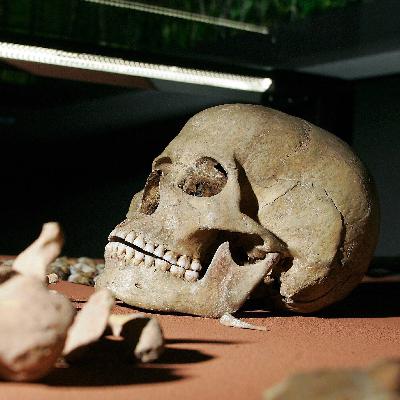 Die Schamanin von Bad Dürrenberg