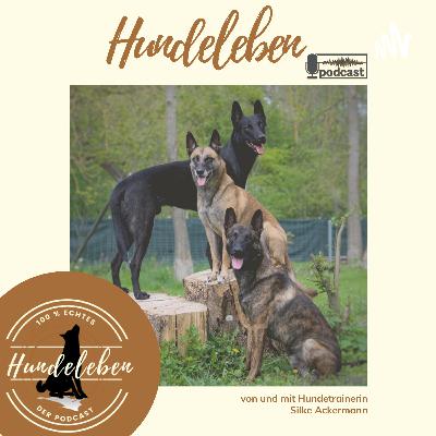 #9 - Für ein respektvolles Miteinander unter Hundehaltern - #wirwollenwasverändern - Thema Hundebegegnungen