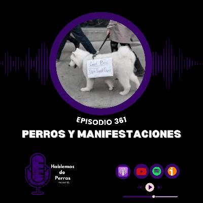 EP#361: Manifestación y perros