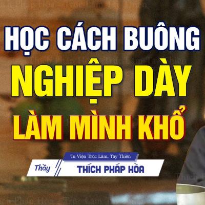 Học cách buông được những nghiệp dày làm mình khổ - Thầy Thích Pháp Hòa