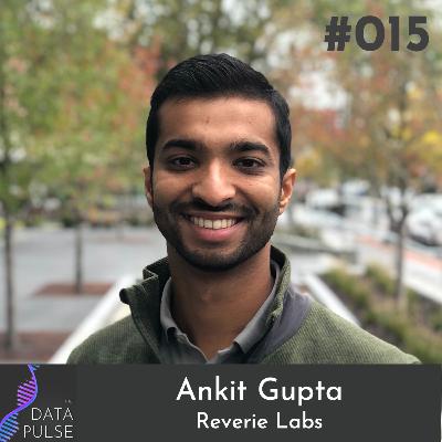 Systematizing drug development with Ankit Gupta (Reverie Labs)