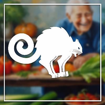 🍅 Sose halunk meg! | Fekete Technológia #38