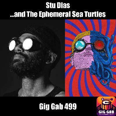 Stu Dias and The Ephemeral Sea Turtles