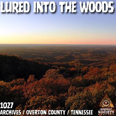 They’ve Been Living on Her Land for Years | Overton County Tennessee Bigfoot Encounters | Archives