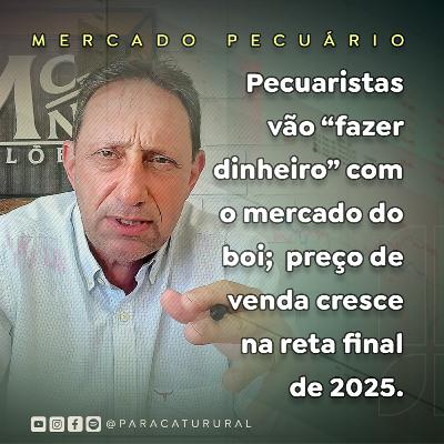 Pecuaristas vão “fazer dinheiro” com o mercado do boi; preço de venda cresce na reta final de 2025