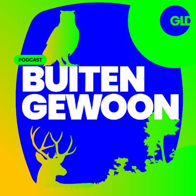 078 Jaar van de Steenuil | BuitenGewoon 078 Jaar van de Steenuil | BuitenGewoon