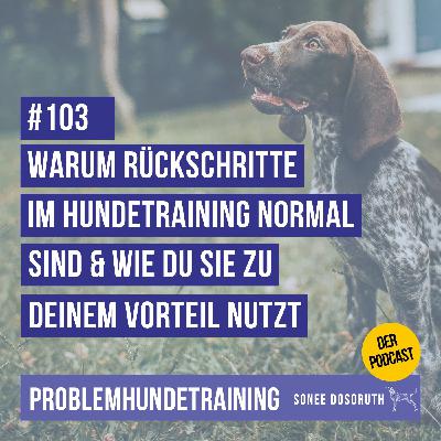 Warum Rückschritte im Hundetraining normal sind und wie du sie zu deinem Vorteil nutzt Warum Rückschritte im Hundetraining normal sind und wie du sie zu deinem Vorteil nutzt