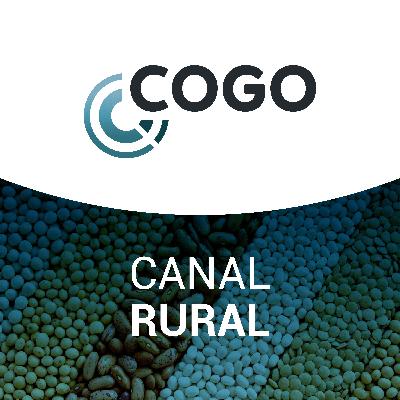 Canal Rural 06/04 - Análises e projeções para as exportações brasileiras de soja e milho em 2022