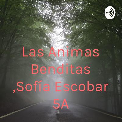 Las Animas Benditas , por Sofía Escobar 5A