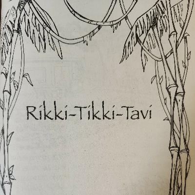 Rikki-Tiki-Tavi, Part 2