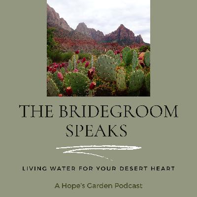 The Heart of Christ the Bridegroom with Father Patrick Schultz