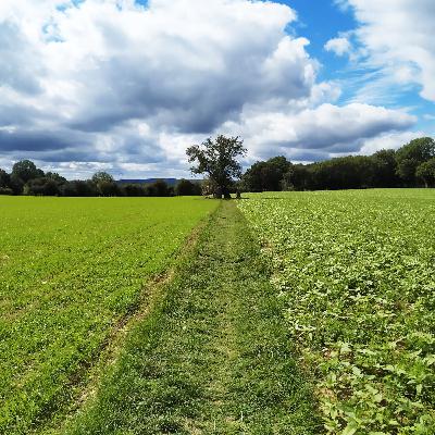 Episode 2 - Startup Basics and Jargon Part 1