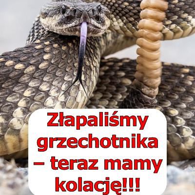 Zniknęło wszystko. Zostały tylko one… 🌍💨 Zniknęło wszystko. Zostały tylko one… 🌍💨