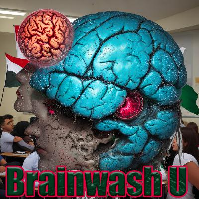 HWIT Gaza War - College Kids Are Brainwashed
