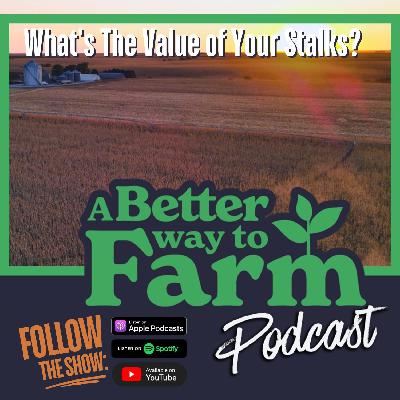 330: What's The Value of Your Stalks? 330: What's The Value of Your Stalks?