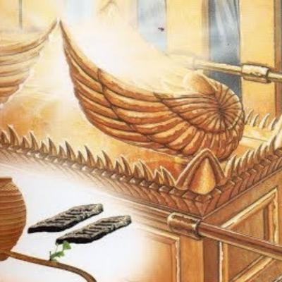 I Died And Saw Jesus And The Ark Of The Covenant | Near Death Experience | NDE I Died And Saw Jesus And The Ark Of The Covenant | Near Death Experience | NDE