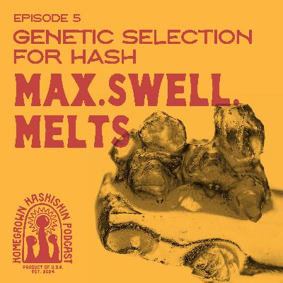Genetic Selection For Hash with Max.Swell.Melts