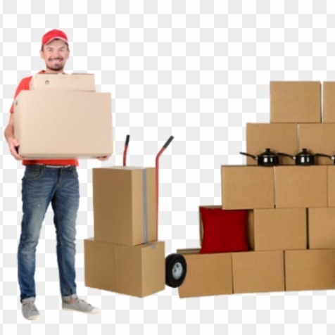 What should you look for in a Professional Moving Company Review