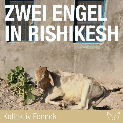 TEIL 3 – Wundersame Dinge