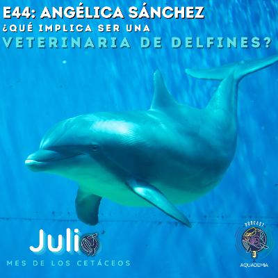 E44: Angélica Sánchez. ¿Qué implica ser una veterinaria de delfines? E44: Angélica Sánchez. ¿Qué implica ser una veterinaria de delfines?