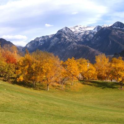 Feng shui : the untold secret of self direction towards tranquility
