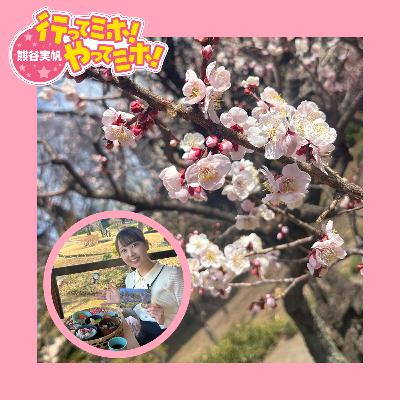 ep.95【小石川後楽園「梅香る庭園へ」】に行ってミホ！ 2026/2/26（木）オンエア