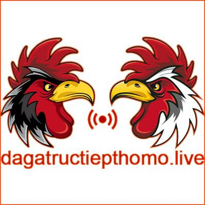 Gà há miệng thở dốc do đâu? Cách trị khó thở và thở dốc ở gà Gà há miệng thở dốc do đâu? Cách trị khó thở và thở dốc ở gà