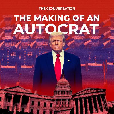 The Making of an Autocrat: beat the courts The Making of an Autocrat: beat the courts