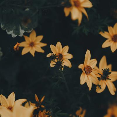 Mr.spears and Mrs.Browns class Mr.spears and Mrs.Browns class