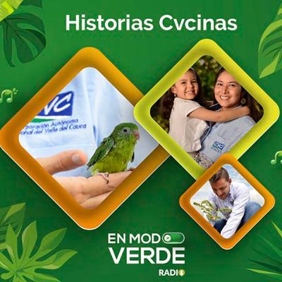 Loras y Guacamayas tristemente olvidan su identidad - En Modo Verde Radio Loras y Guacamayas tristemente olvidan su identidad - En Modo Verde Radio
