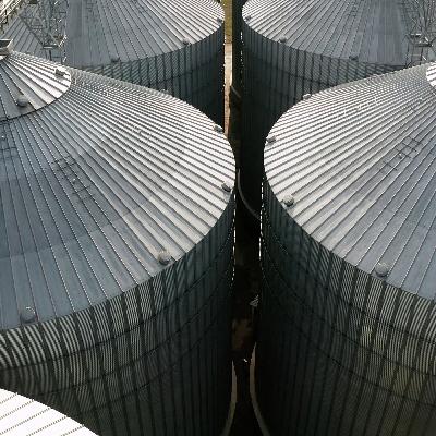 Story Of The Harvest Is Uncertainty & Storage Concerns Story Of The Harvest Is Uncertainty & Storage Concerns