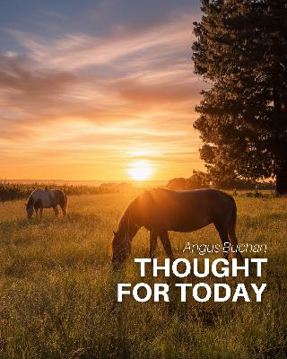 Abundant Life Abundant Life