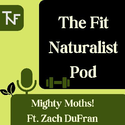 Mighty Moths ft. Zach DuFran