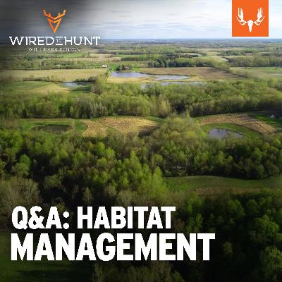 Ep. 750: Habitat Management Listener Q&A with Kyle Perry Ep. 750: Habitat Management Listener Q&A with Kyle Perry