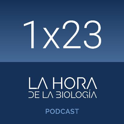1x23: Lisosomas, los orgánulos olvidados. Parte 2