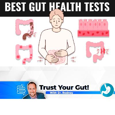 The Best Gut Health Tests