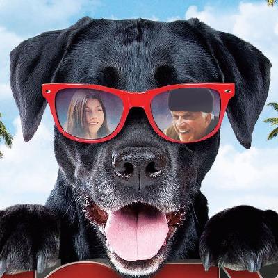 DOMINANCE: Graham Ike leads Gonzaga to big win over OSU! | Few offers concerning Braden Huff update DOMINANCE: Graham Ike leads Gonzaga to big win over OSU! | Few offers concerning Braden Huff update