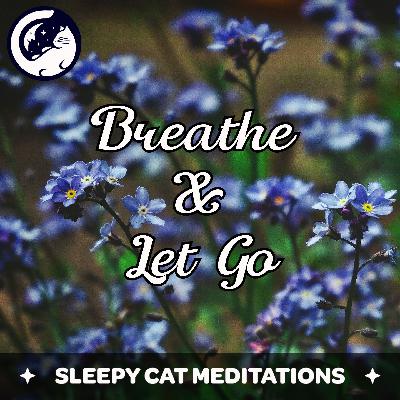 Breathe & Let Go Meditation: Release Anxiety