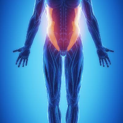 Relaxation de la sangle abdominale Relaxation de la sangle abdominale