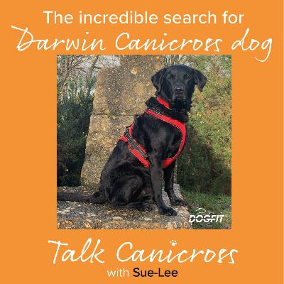The incredible search for Darwin Canicross dog The incredible search for Darwin Canicross dog