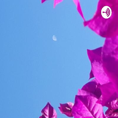 La meta de todo Cristiano La meta de todo Cristiano