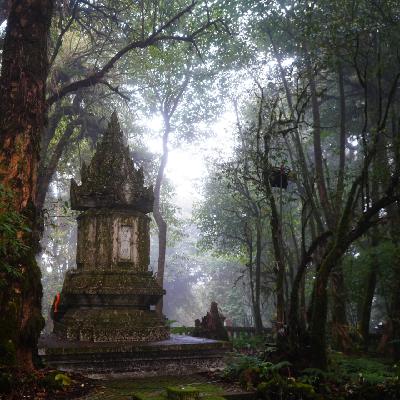 Animacy in Zen — January 13, 2026 — Dharma Talk