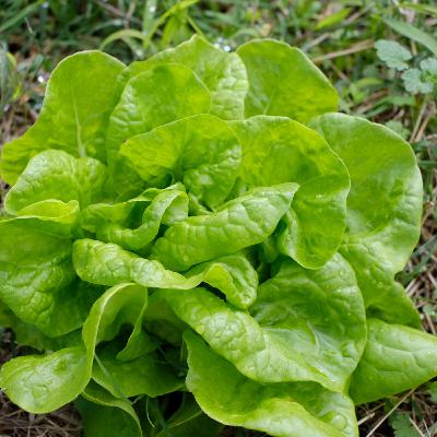 第82回 2025年の振り返り② 第82回 2025年の振り返り②